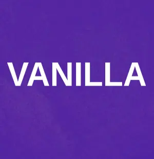 Vanilla Server